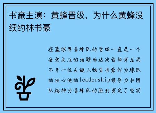 书豪主演：黄蜂晋级，为什么黄蜂没续约林书豪