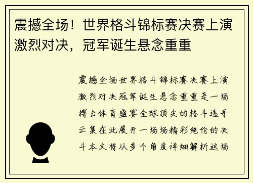 震撼全场！世界格斗锦标赛决赛上演激烈对决，冠军诞生悬念重重
