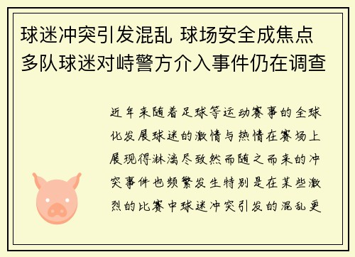 球迷冲突引发混乱 球场安全成焦点 多队球迷对峙警方介入事件仍在调查